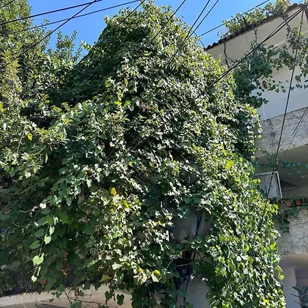 Central Stay Tirana Daire